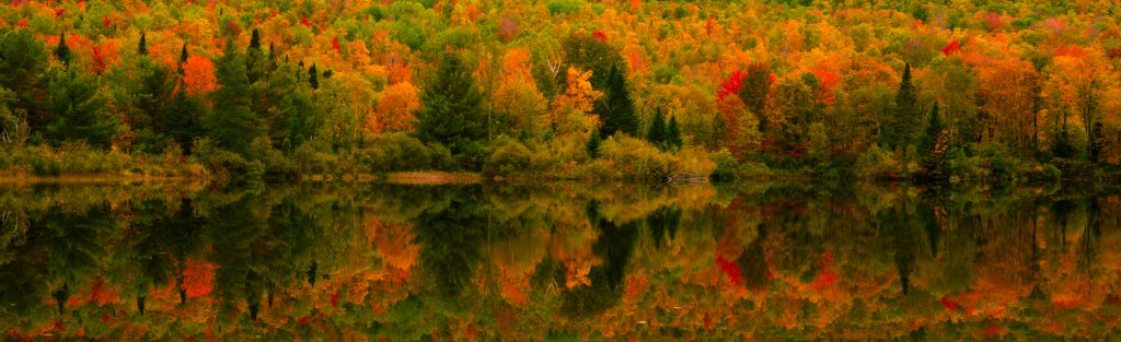 This image has an empty alt attribute; its file name is coffin_pond.jpg